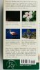 NATIONAL AUDUBON SOCIETY FIELD GUIDE TO FLORIDA - Peter Alden 